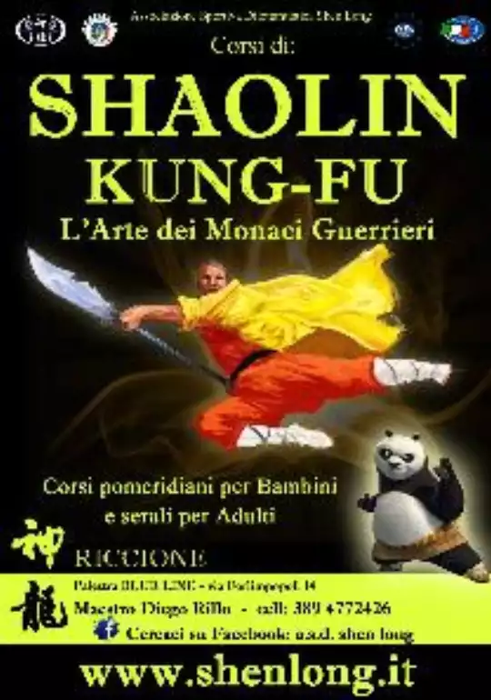 manifesto shaolin riccione copia.jpg